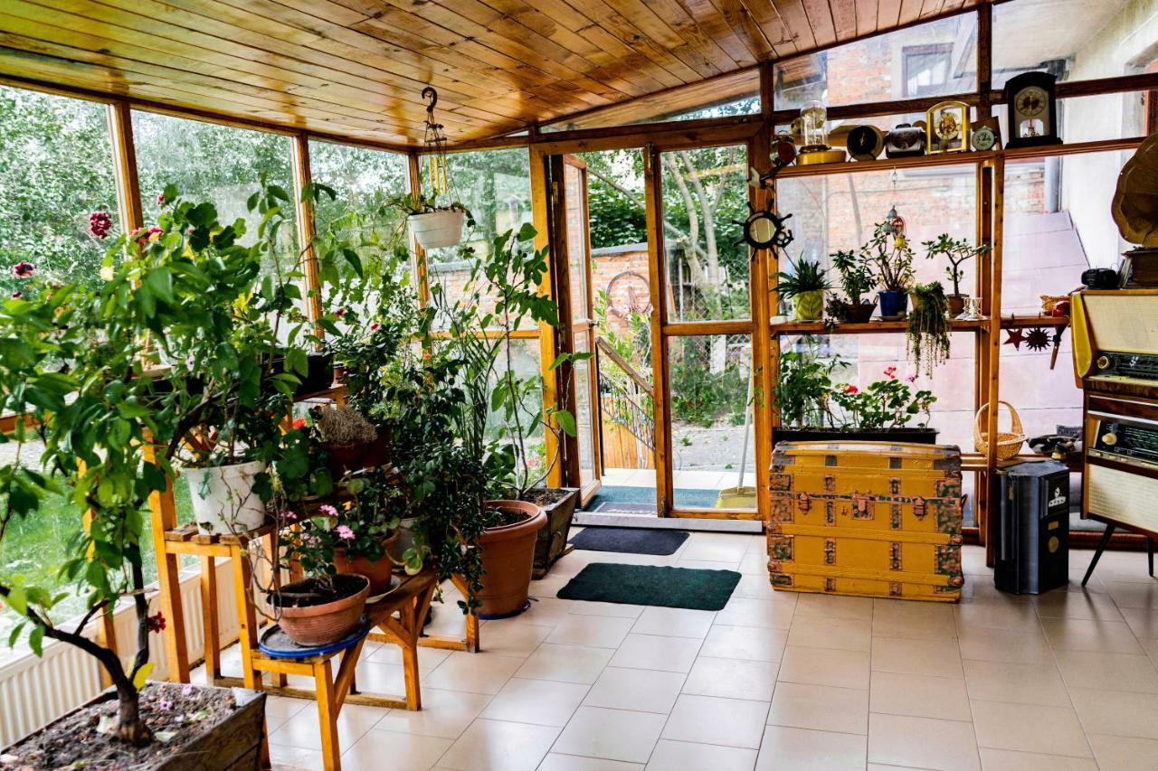 Hostel Villa Roma Lviv Ngoại thất bức ảnh